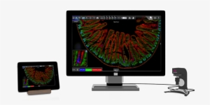 Nine Slides Of A Case On A Single Screen - Case Viewer
