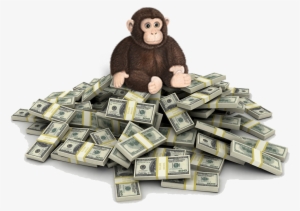 Money Monkey 1554498689 - Get Rich From Home On A Part Time Basis With