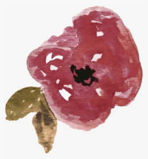 Fall F2 - Portable Network Graphics