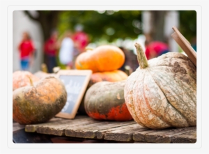 Our Pumpkins - Portable Network Graphics