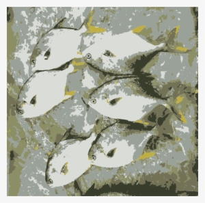 Get Notified Of Exclusive Freebies - Fish