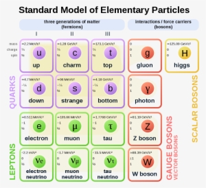 Standard Model Of Elementary Particles - Subatomic Particles
