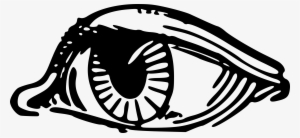 Eyeball Png