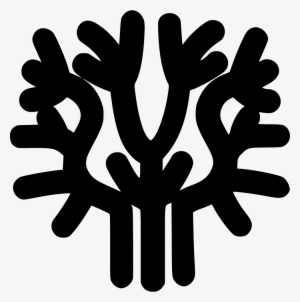 Coral Comments - Portable Network Graphics