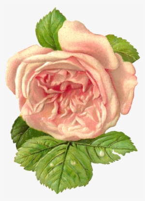 Eyfel Kulesi Pirinç Dekopaj Kağıdı 29x42 Cm - Rich