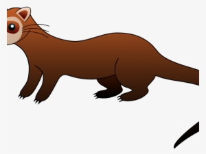 Ferret Clipart Weasel - Black Footed Ferret Clipart