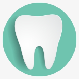 Tooth - Illustration