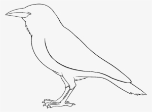 Clip How To Draw A - Drawing