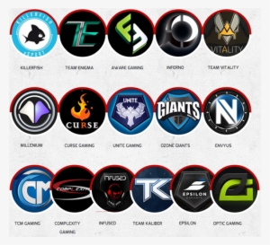 Ertghgf - Call Of Duty Pro Teams Logos
