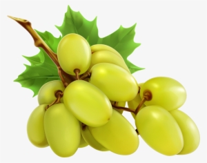 Grapes