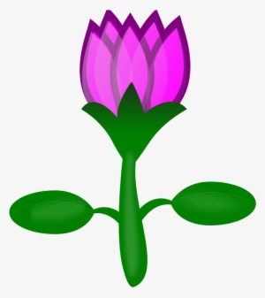 How To Set Use Lotus Clipart