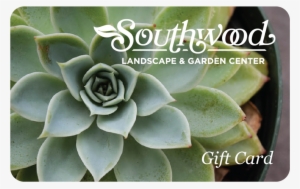 Succulent Gift Card