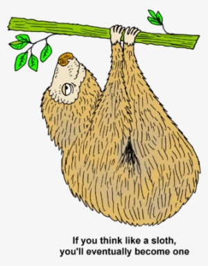 Image If You Think Like A Sloth Youll Eventually Become - Sloth Clip Art