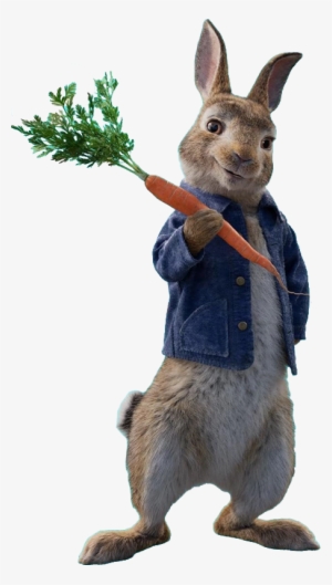 Peter Rabbit - Peter Rabbit Movie Png