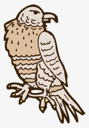 Bald Eagle - 0shares - Imagens De Falcão Em Desenhos Animados