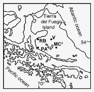 Drawing Forests Ocean - Drawing