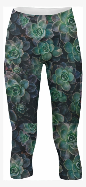 Succulent Yoga Pants $65 - Succulent Plant
