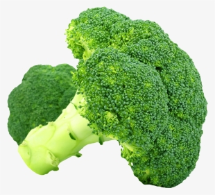 Broccoli Png Transparent Image - Broccoli Png