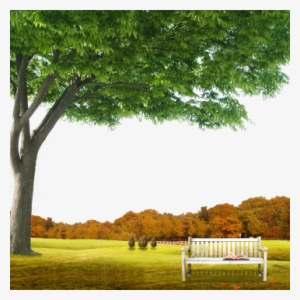 Garden Background Scene With Natural Background, Garden, - Poster