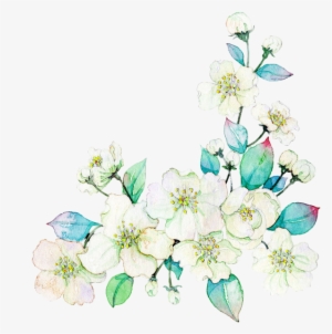 Gardenia Vector Watercolor - Flower