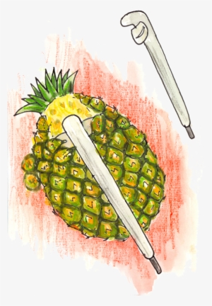 Peelgroove Knife For Pineapple - India Pineapple