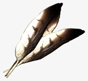 Hawk Feathers - Hawk Feather Png