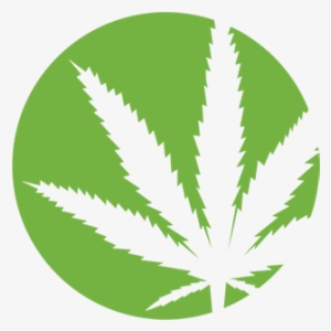 Cannabis - Purple Haze Records Logo