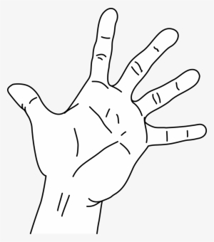 File Measurements Of The Without Png Filemeasurements - Drawing Of An Open Hand