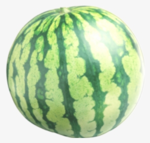 Sacred Watermelon - Watermelon Stud Earrings Fruit Jewelry Hypoallergenic
