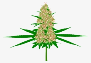 Weed Leaf Transparent Background - Cannabis