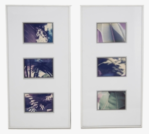 Banana Leaves - Picture Frame