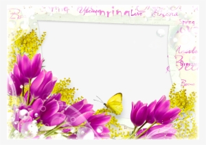 Flower Frame Png - Flowers Photo Frames Free Download