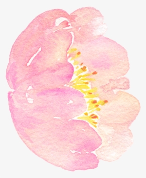 7 A - Portable Network Graphics