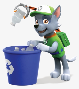 Do Rocky Da Patrulha Canina