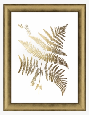 Gold Foil Ferns I - Art Print: Vision Studio's Gold Foil Ferns