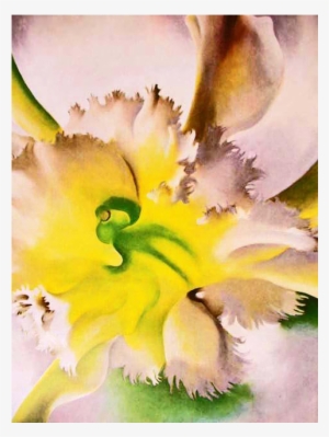 1977 'georgia O'keeffe' Modern Art, Out Of Print, Rare - Georgia O Keeffe