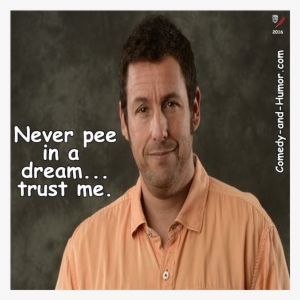 Adam Sandler Smiling - Good Leadership Skills