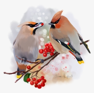 The Waxwing Watercolor Painting - Waxwing