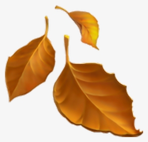 Emoji Emojisticker Autumn Leaves - Fall Leaves Emoji Transparent