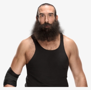 Luke Harper Pro - Luke Harper Wwe Champion