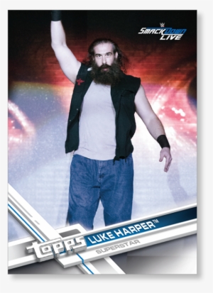 Luke Harper - Wwe