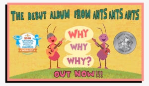 Albumoutnow - Thames & Kosmos Magic: Gold Edition Playset