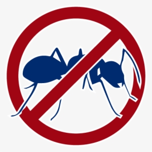 Ants - No To Envy