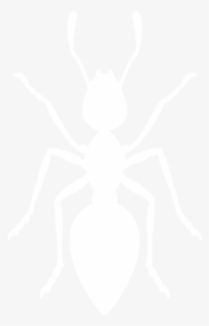All Pests - White Ant Icon Png