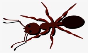 Small - Ant Clip Art