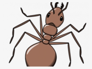Drawn Ant Simple - Ant Drawings