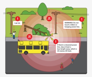 Nwl0003 Downed Powerlines V2 - Power Line