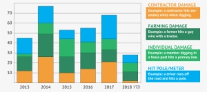 Chart Of Public Incidents - Companion Animal Industry