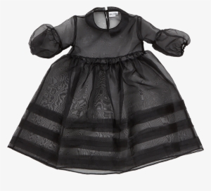 Black Organza Dress - Organza