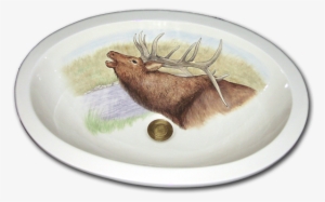 Lbu 48 500 Bull Elk - Elk